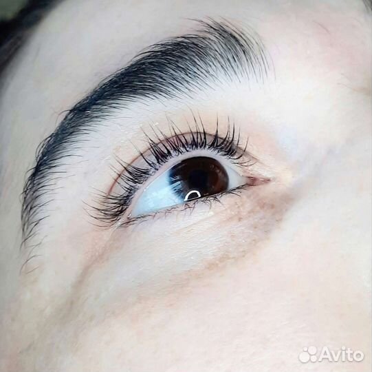 Мастер бровист