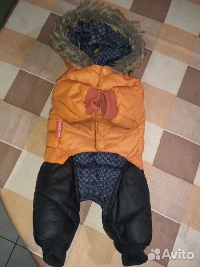 Комбинезон для собаки