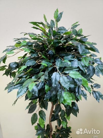 Деревья искусственные Премиум Фикус цветок