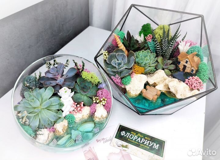 Флорариум из суккулентов