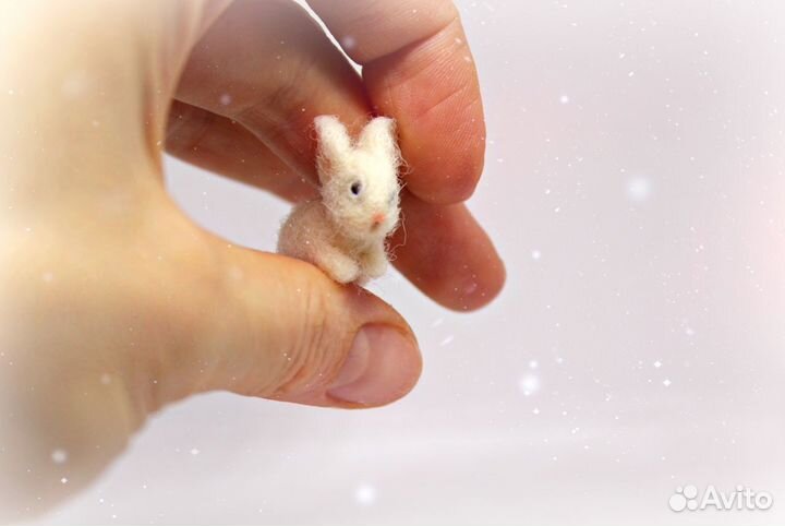 Миниатюрные кролики