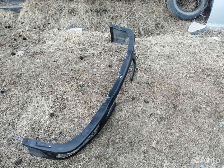 Губа передняя Т.Марк Сугроб