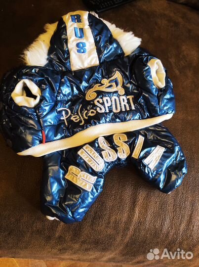 Комбезик на мелкую собачку и игрушка для кошки