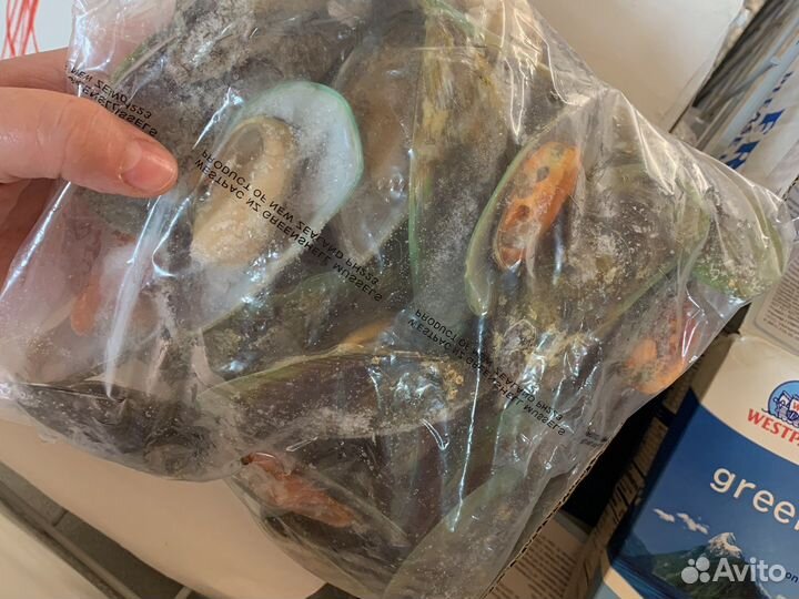 Мидии голубые, зеленые в/м