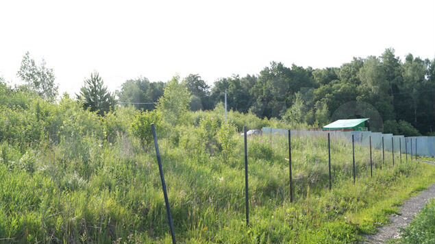 Участок 15,5 сот. (СНТ, ДНП)