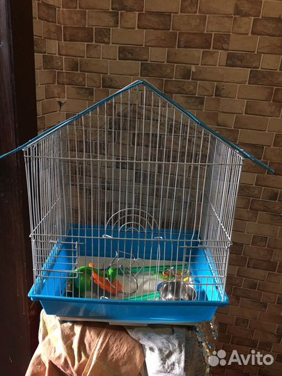 Клетка для попугая
