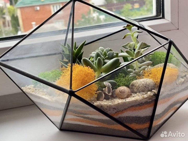 Флорариум «Кристалл пустыни »
