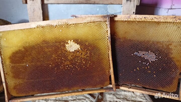 Ульи, сушь для пчел
