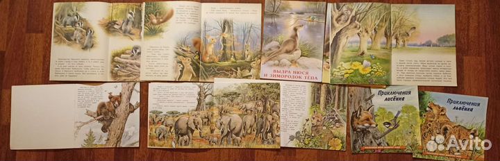Книги про животных для дошкольного возраста (11шт)