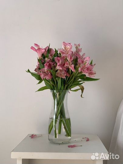 Альстромерия