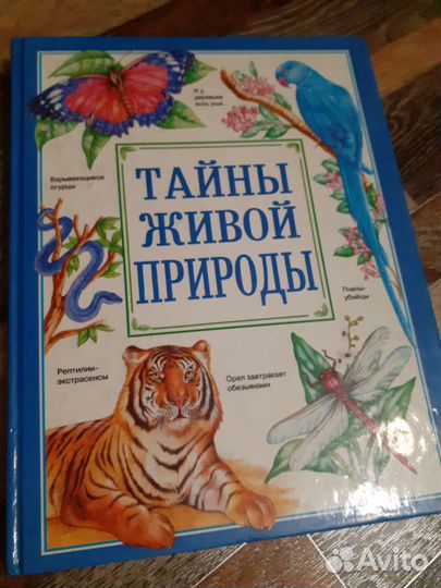 Детская энциклопедия