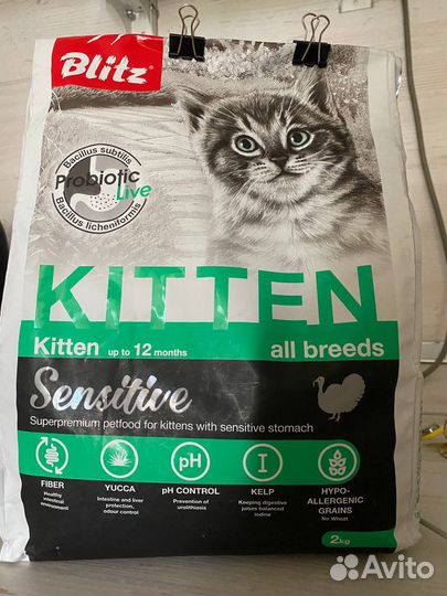 Корм для котят