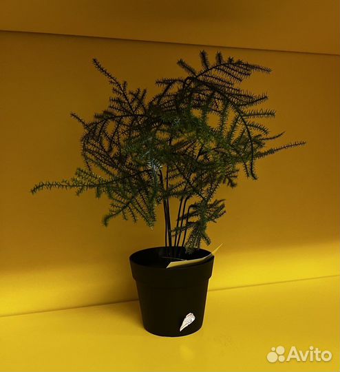 Искусственный цветок Икеа, новый