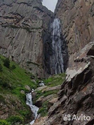 Твой Семейный гид