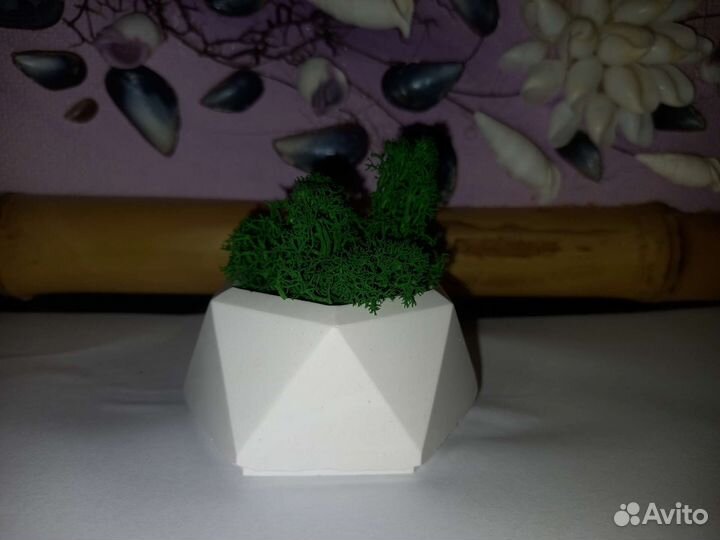 Кашпо со стабилизированным мхом