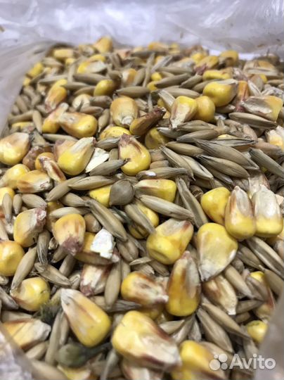 Корм для грызунов хомяков дегу шиншилл крыс