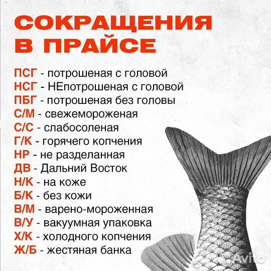 Филе макруруса