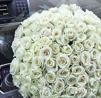 Цветы розы букеты 25 31 35 51 101 251 Доставка