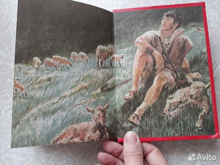 Моя первая Библия в картинках