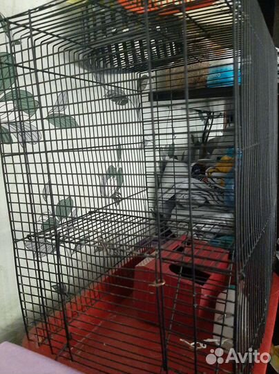 Клетка для грызунов бу