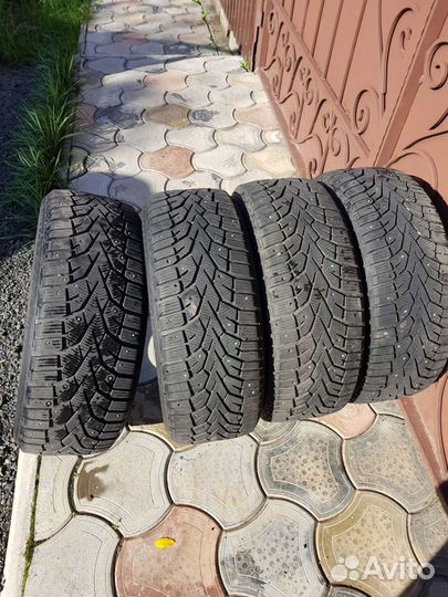 Gislaved NordFrost 100 205/55 R16