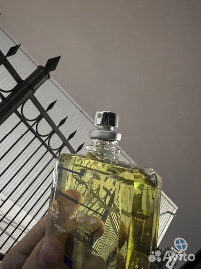 Escentric molecules 01 iris