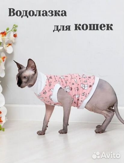 Одежда для кошек новая