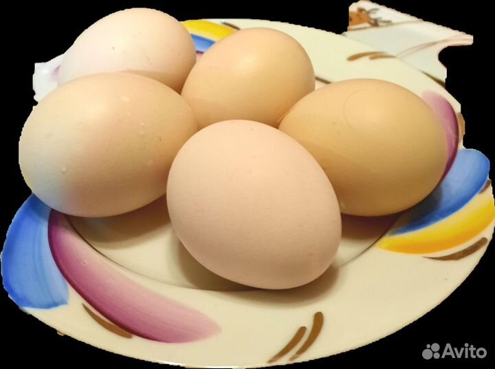 Домашние куриные яйца