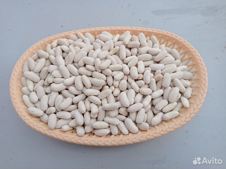 Продаю фасоль