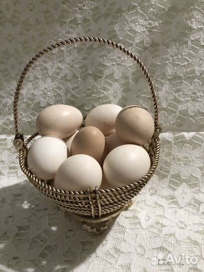 Молоко коровье домашнее