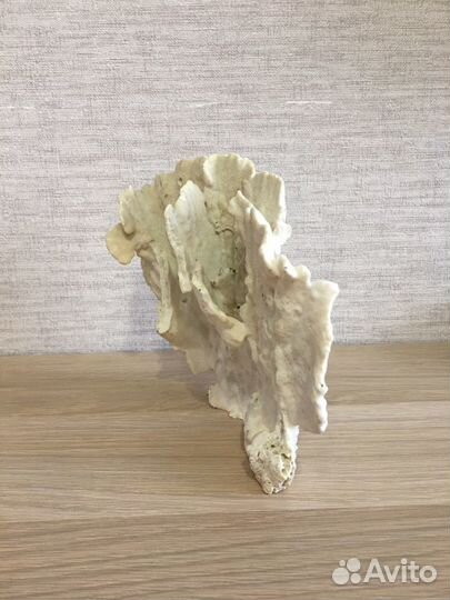 Натуральный белый коралл для аквариума