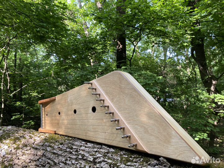 Гусли крыловидные звончатые 10 струн