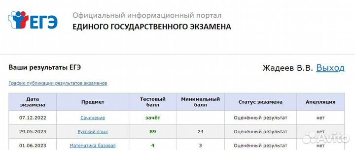 Репетитор по русскому языку/литературе