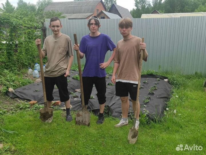 Подсобник разнорабочие услуги