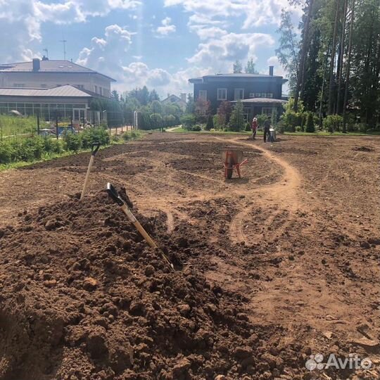Сад благоустройство