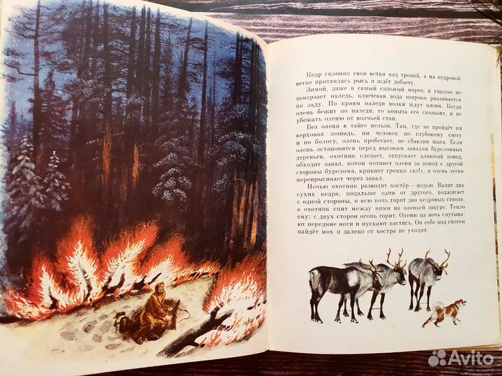 Снегирев. В разных краях 1981 г