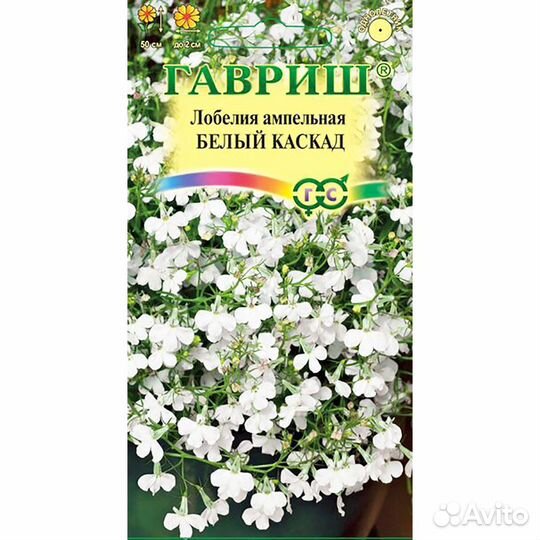 Лобелия Белый каскад ампельная