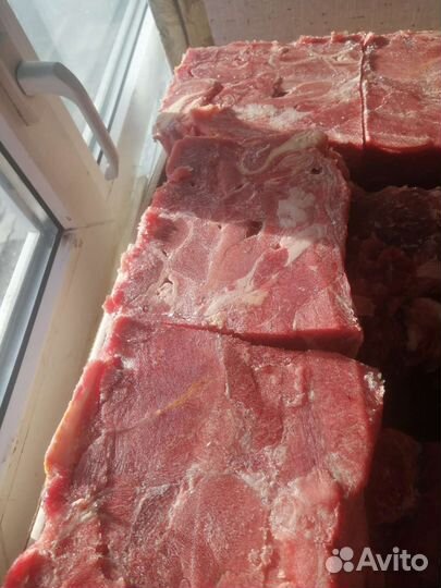 Говядина котлетное мясо