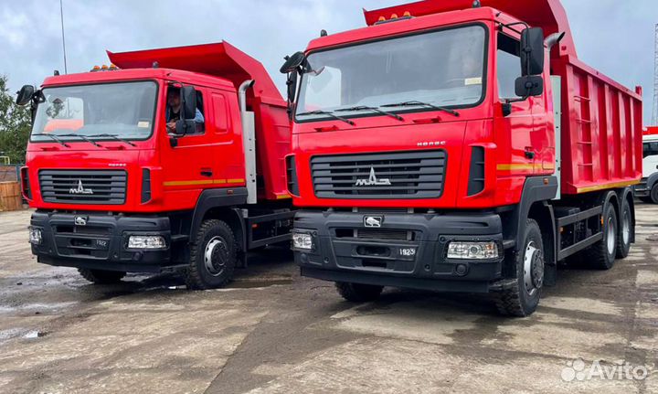 МАЗ 650108-8230-005, 2024