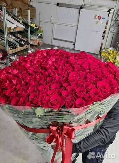 Длинные высокие розы 110 150 160 180 200 см