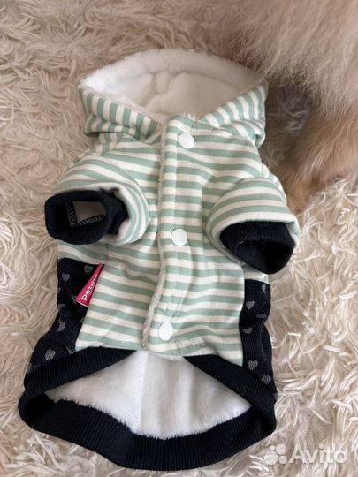 Одежда на собаку