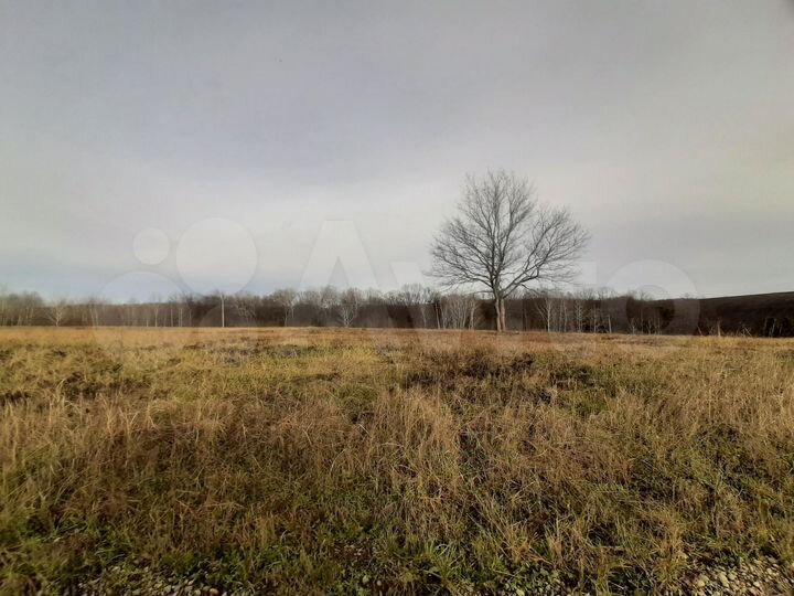 Участок 100 сот. (СНТ, ДНП)