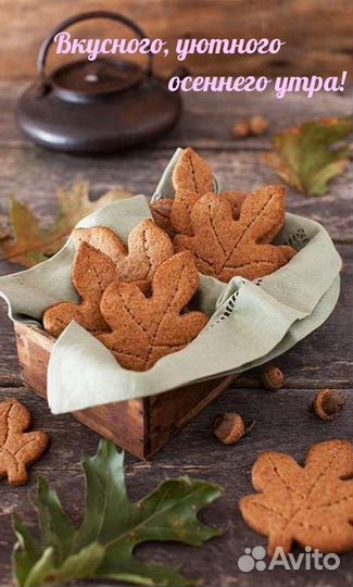 Собаки бесплатно в добрые руки