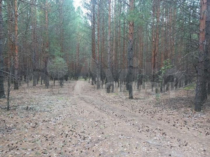 Участок 7 сот. (ИЖС)