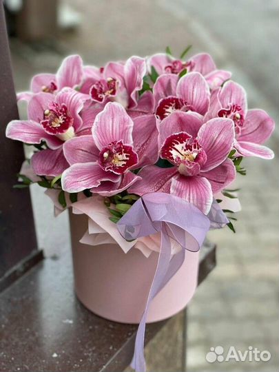 Коробка из орхидей, букет из орхидей доставка