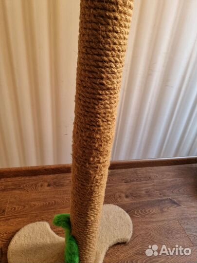 Когтеточка