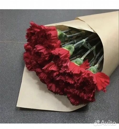 Цветы гвоздика оптом