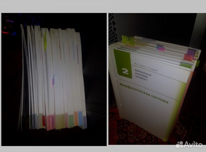 2 книги в методичках М.Р. Сапин, Г.Л. Билич