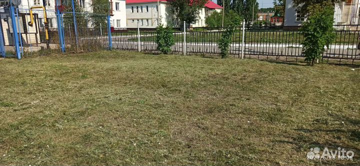 Скос сорной травы