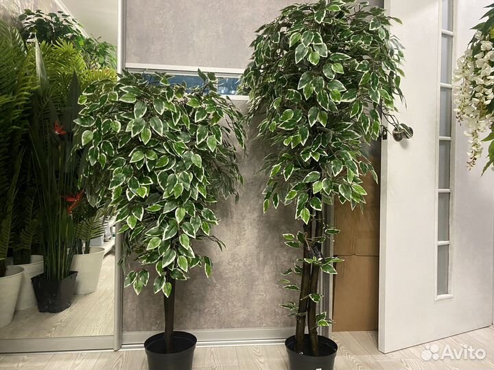 Искусственное дерево Искусственный Фикус